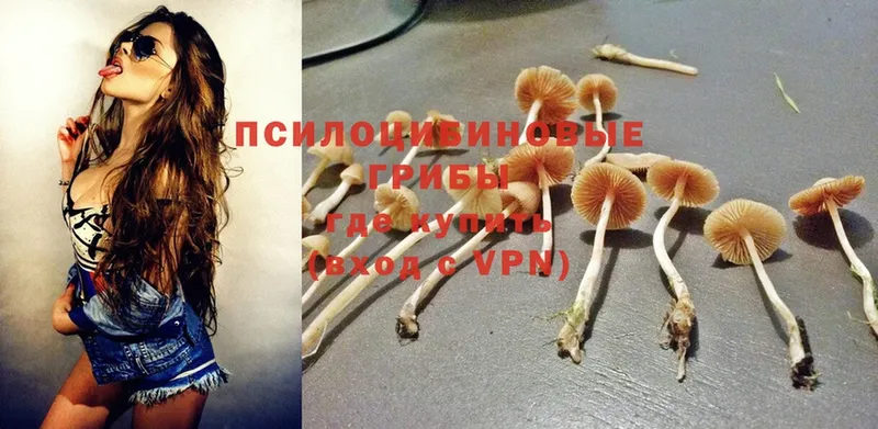 сайты даркнета наркотические препараты  Тулун  Галлюциногенные грибы Magic Shrooms 